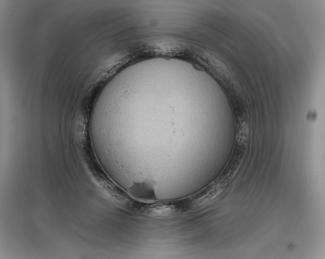 X0000097600456200803141920