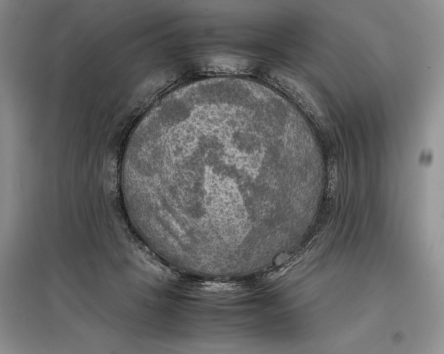 X0000097600457200803141920