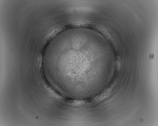 X0000097600458200803141920