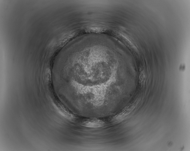 X0000097600459200803141920