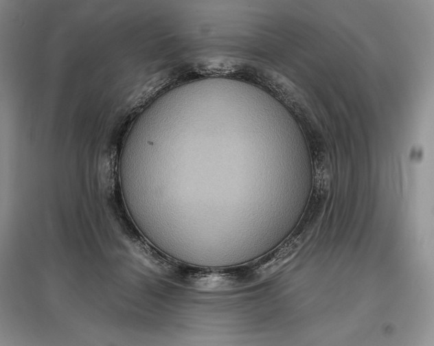 X0000097600460200803141920