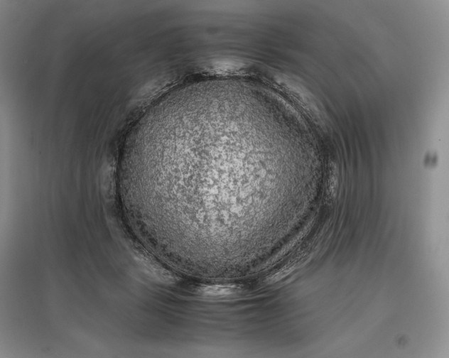 X0000097600461200803141920