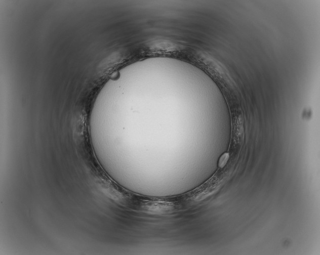 X0000097600463200803141920