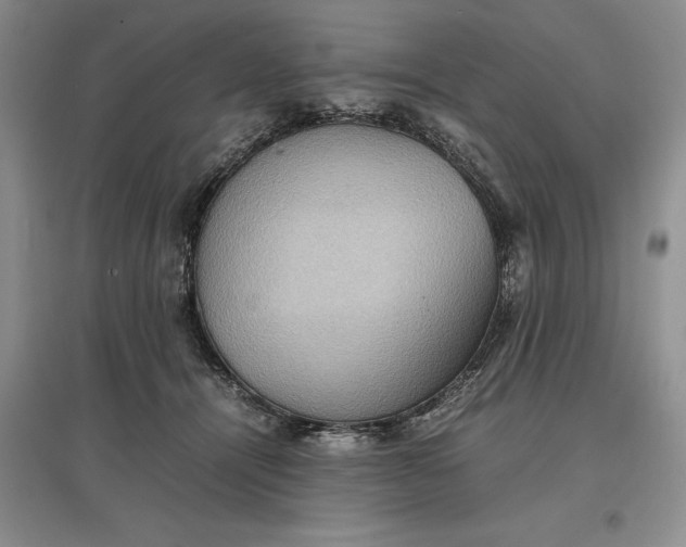 X0000097600464200803141920