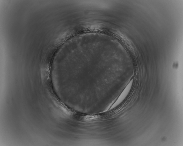 X0000097600465200803141920