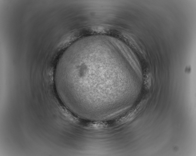 X0000097600466200803141920