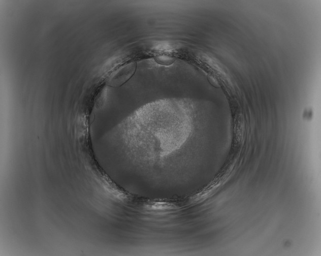 X0000097600467200803141920