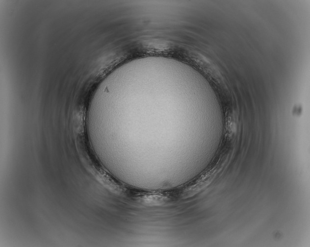 X0000097600468200803141920