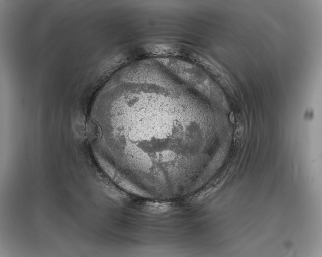 X0000097600469200803141920