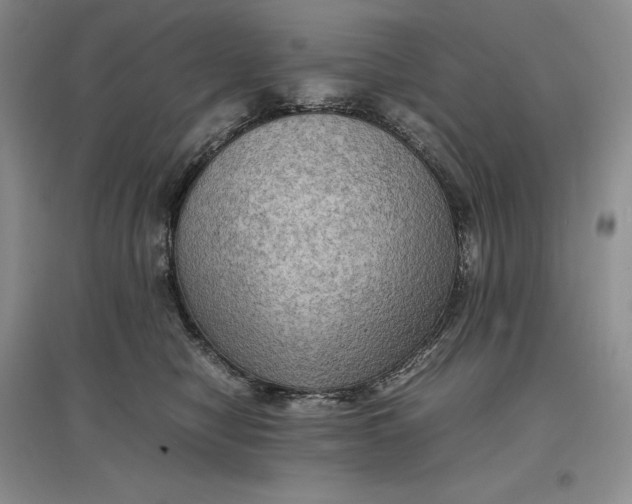 X0000097600470200803141920