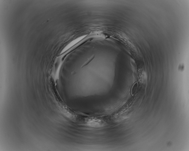 X0000097600471200803141920