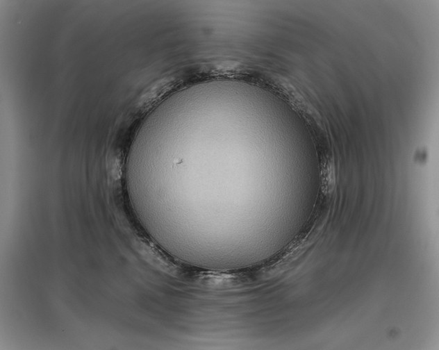 X0000097600472200803141920