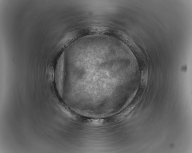 X0000097600474200803141921