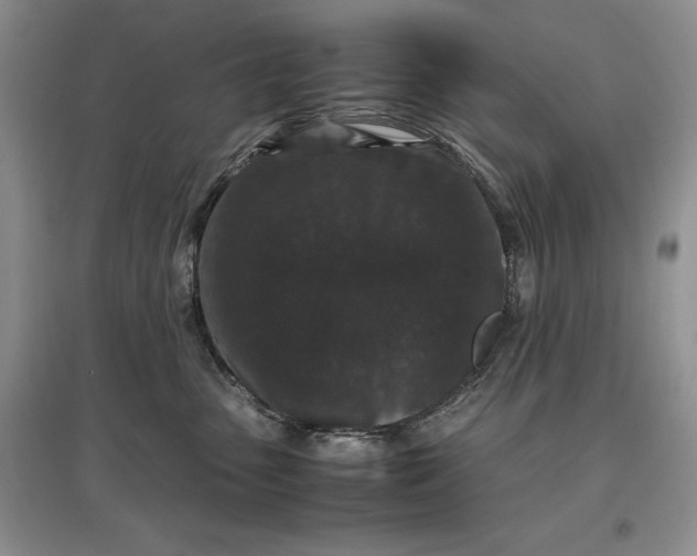 X0000097600475200803141921
