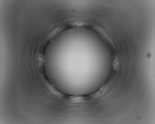 X0000097600476200803141921