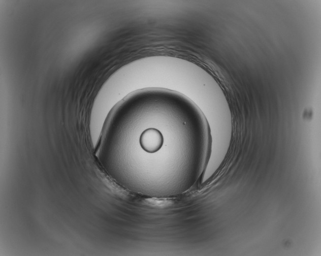 X0000097600477200803141921