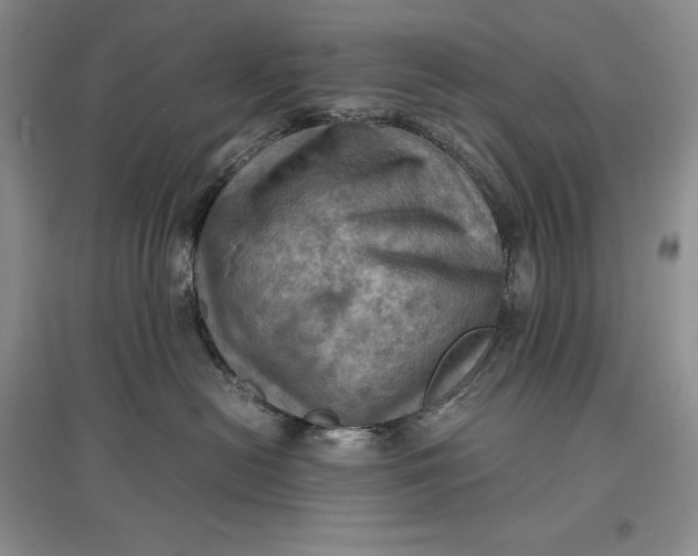 X0000097600478200803141921