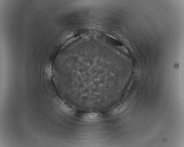 X0000097600479200803141921