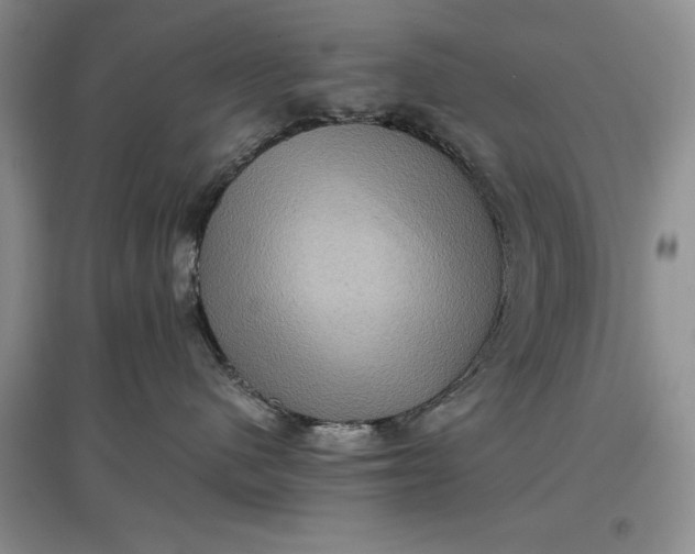 X0000097600480200803141921