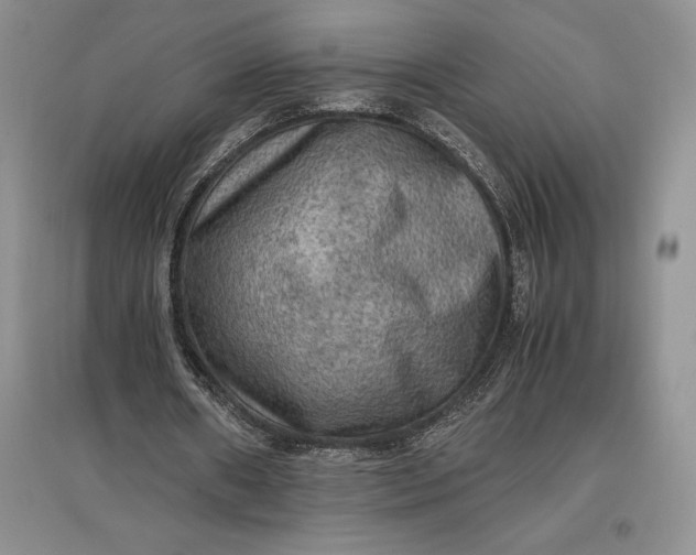X0000097600482200803141920