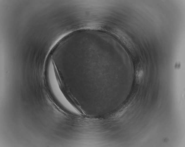 X0000097600484200803141920