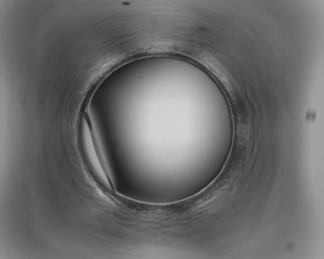 X0000097600485200803141920