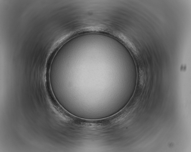 X0000097600486200803141920
