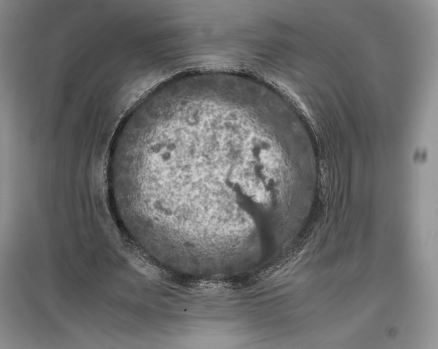 X0000097600487200803141920