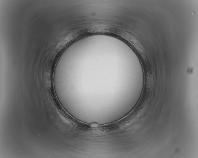 X0000097600489200803141920