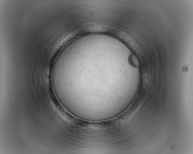 X0000097600490200803141920