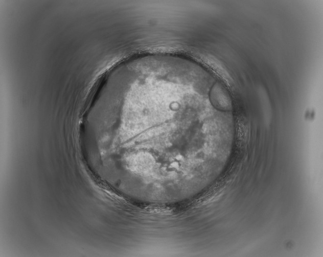 X0000097600491200803141920
