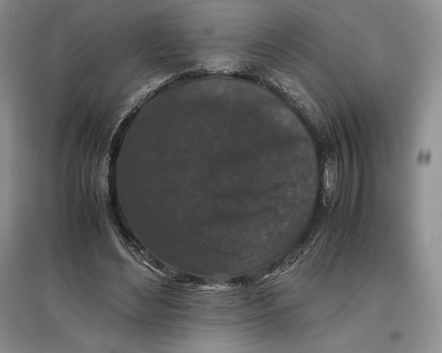 X0000097600492200803141920
