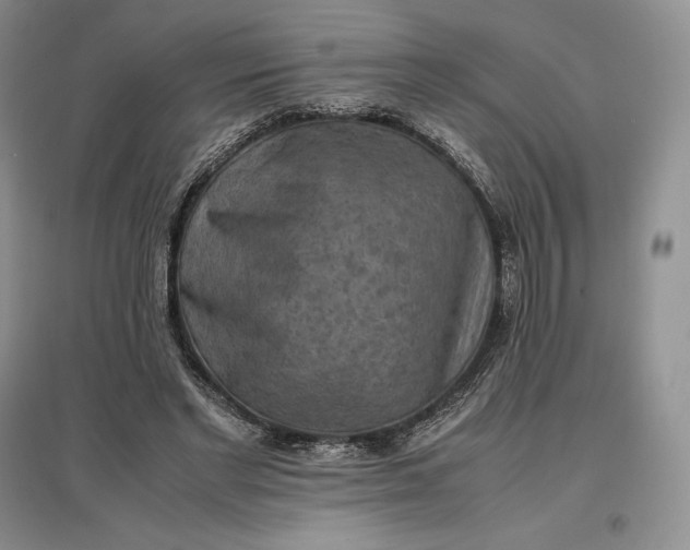X0000097600493200803141920