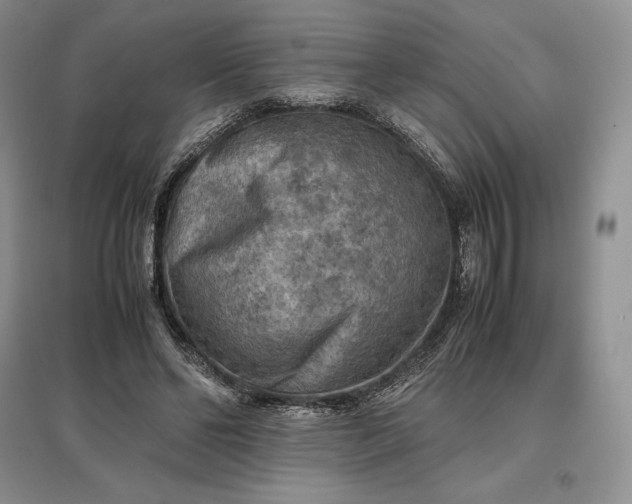 X0000097600494200803141920