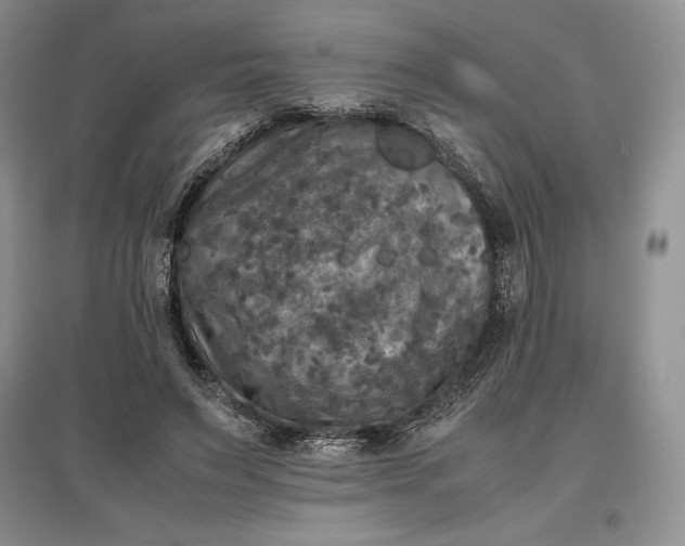 X0000097600495200803141920