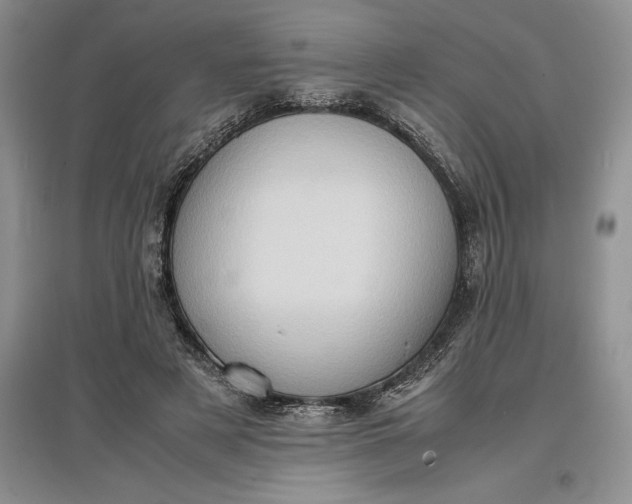 X0000097600497200803141920