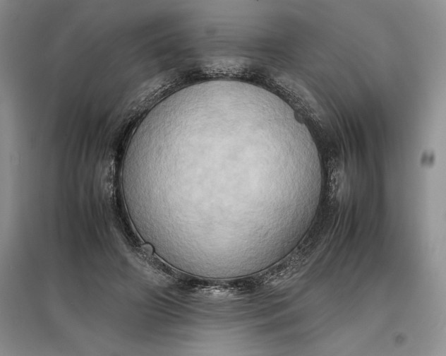 X0000097600498200803141920