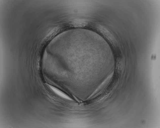X0000097600501200803141920