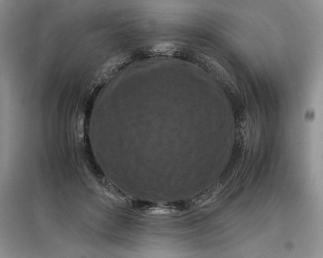 X0000097600504200803141920