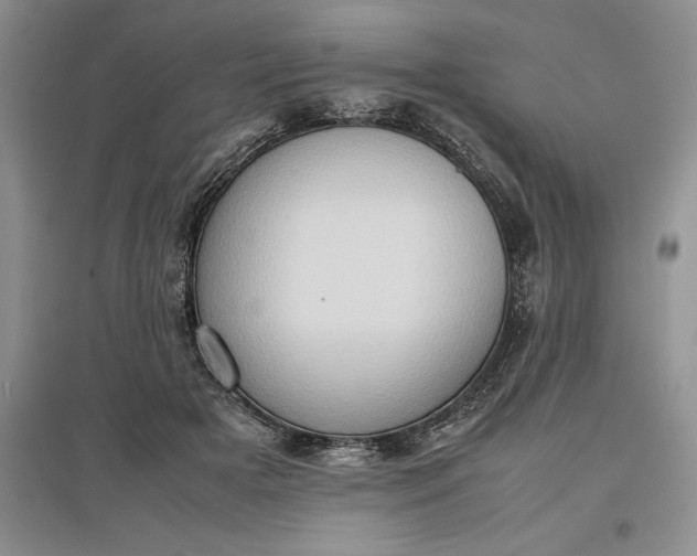 X0000097600505200803141920