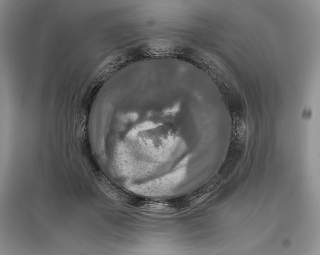 X0000097600507200803141920