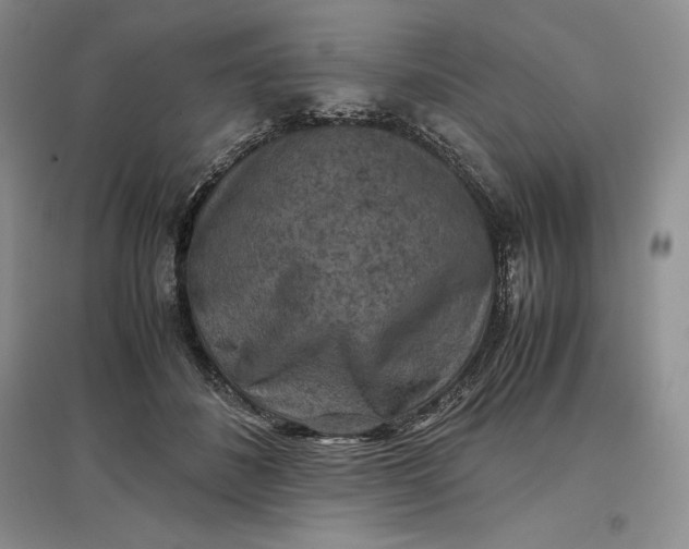 X0000097600508200803141920