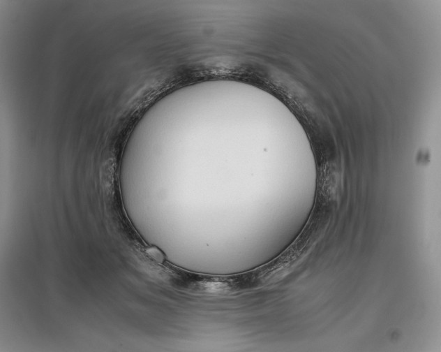 X0000097600509200803141920