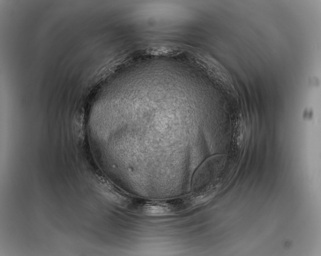 X0000097600510200803141920
