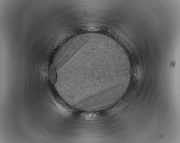 X0000097600512200803141919