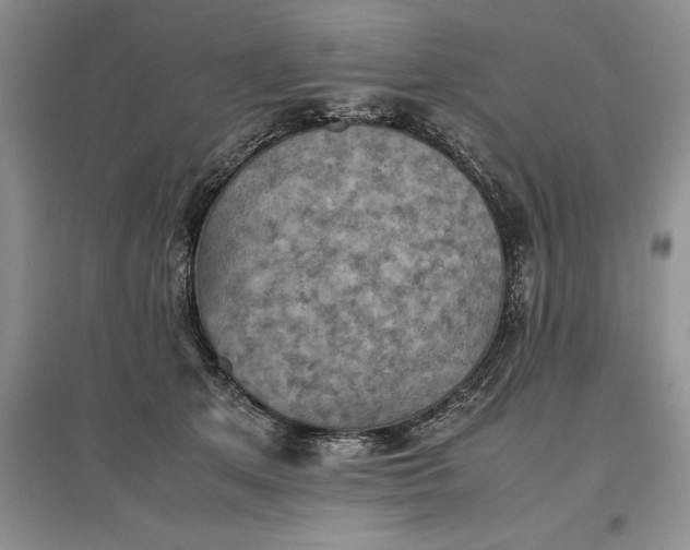 X0000097600513200803141919