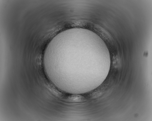 X0000097600514200803141919