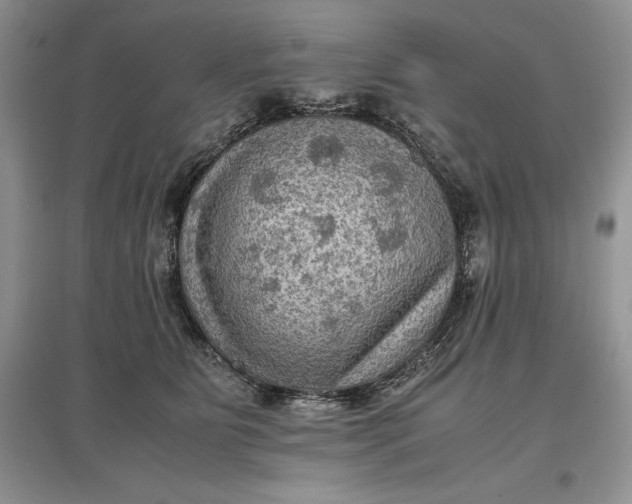 X0000097600515200803141919