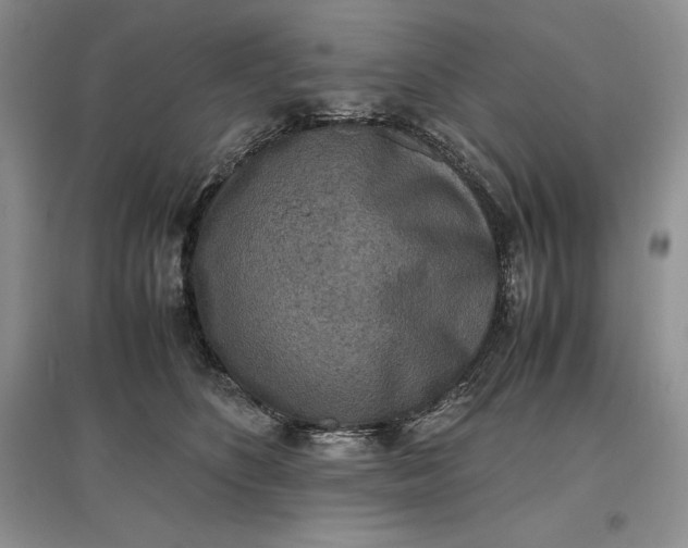 X0000097600516200803141919
