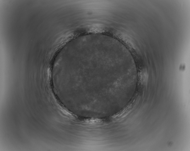 X0000097600517200803141919